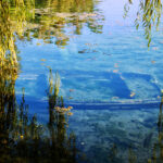 Lago_di_Posta_Fibreno_4
