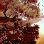 lago