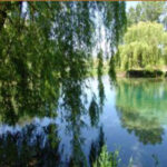 lago 33