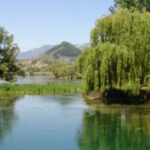 lago 34