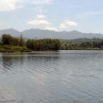 lago 35