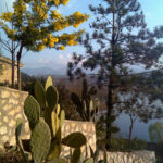 lago 37