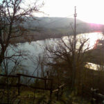 lago 39