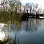 lago 42