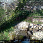 lago 45