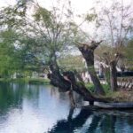 lago4