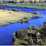 lago7