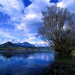 riflessi[1]
